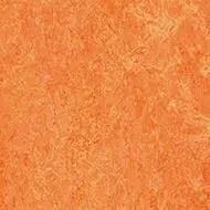 Marmoleum Real 59 134645 3241