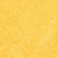 Marmoleum Real 55 134671 3251